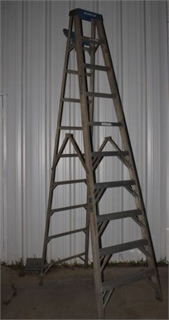 10' step ladder