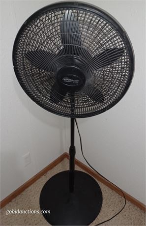 Pedestal fan