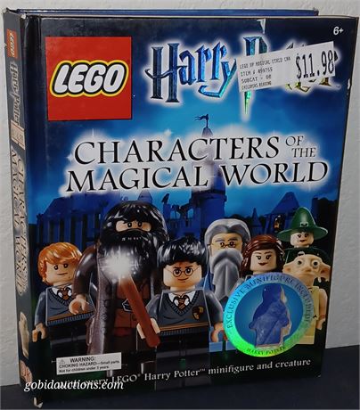 Character of the magical world