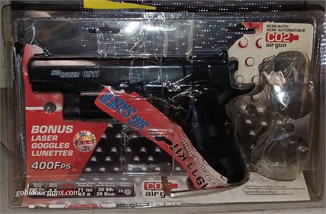 CO2 BB GUN 🔫