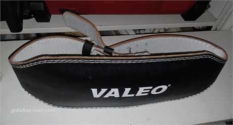 Workout belt