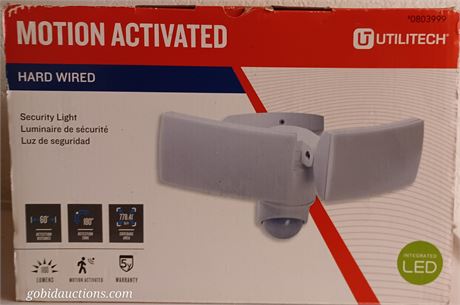 Security light
