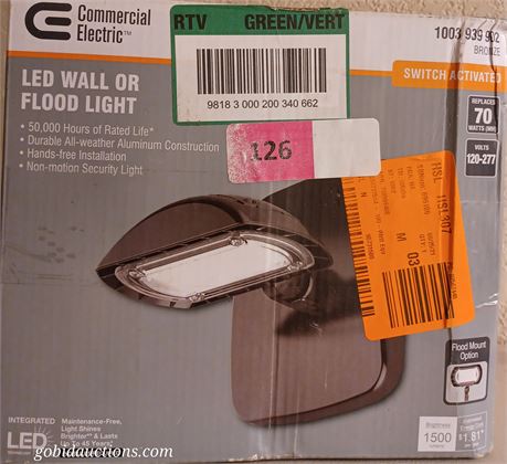 Flood light